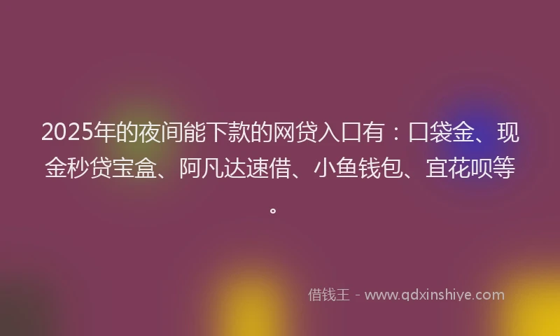 2025年的夜间能下款的网贷入口有：口袋金、现金秒贷宝盒、阿凡达速借、小鱼钱包、宜花呗等。