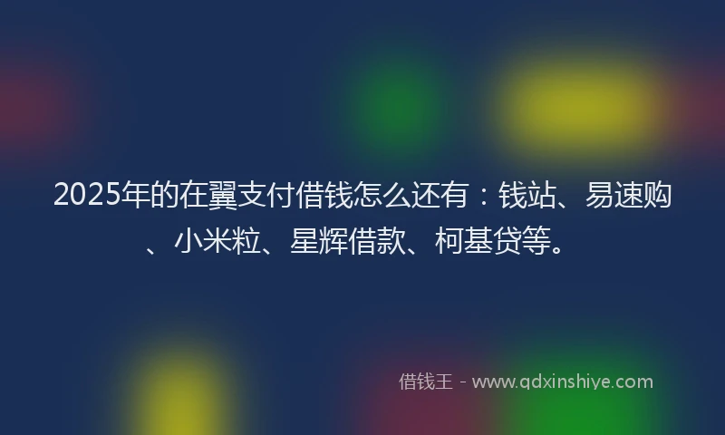 2025年的在翼支付借钱怎么还有：钱站、易速购、小米粒、星辉借款、柯基贷等。