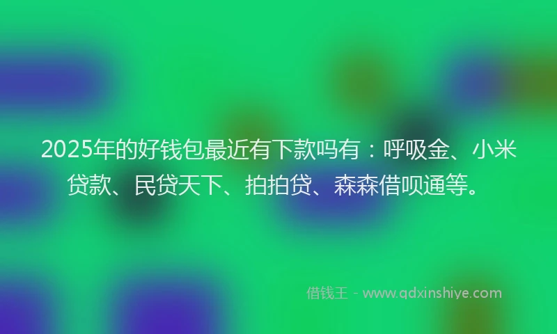 2025年的好钱包最近有下款吗有：呼吸金、小米贷款、民贷天下、拍拍贷、森森借呗通等。
