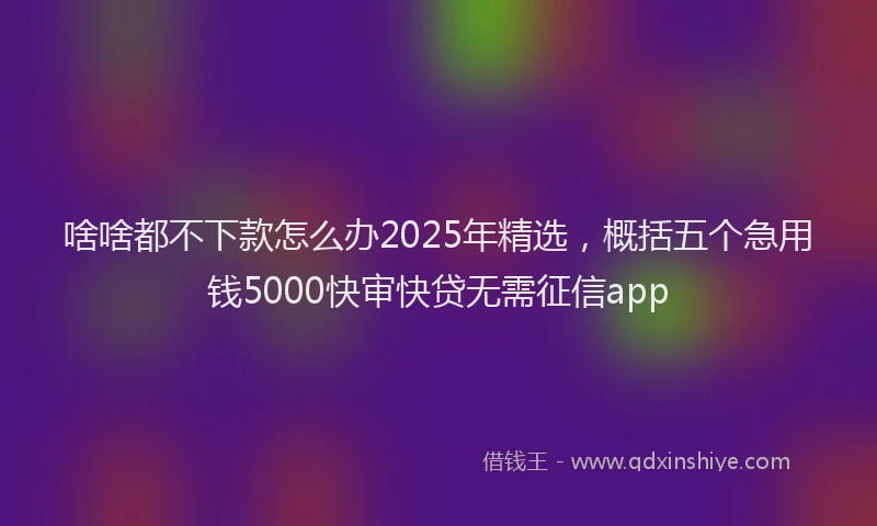 啥啥都不下款怎么办2025年精选，概括五个急用钱5000快审快贷无需征信app