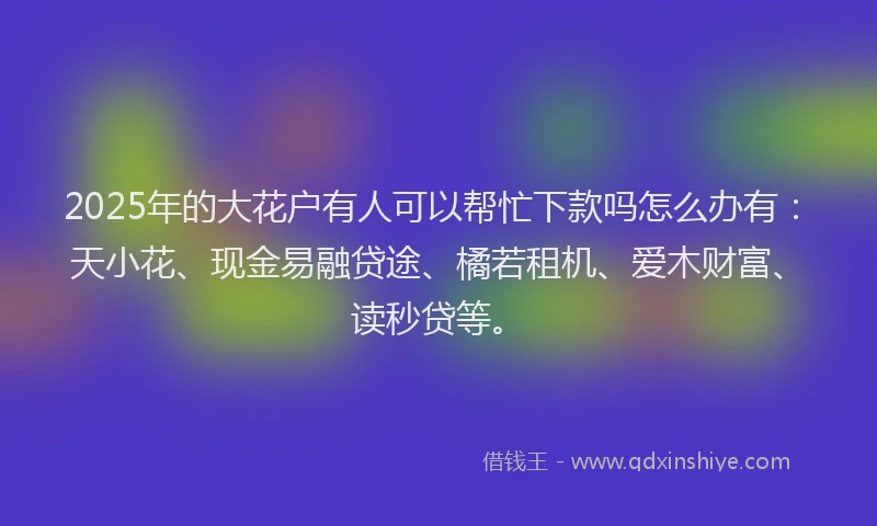 2025年的大花户有人可以帮忙下款吗怎么办有：天小花、现金易融贷途、橘若租机、爱木财富、读秒贷等。