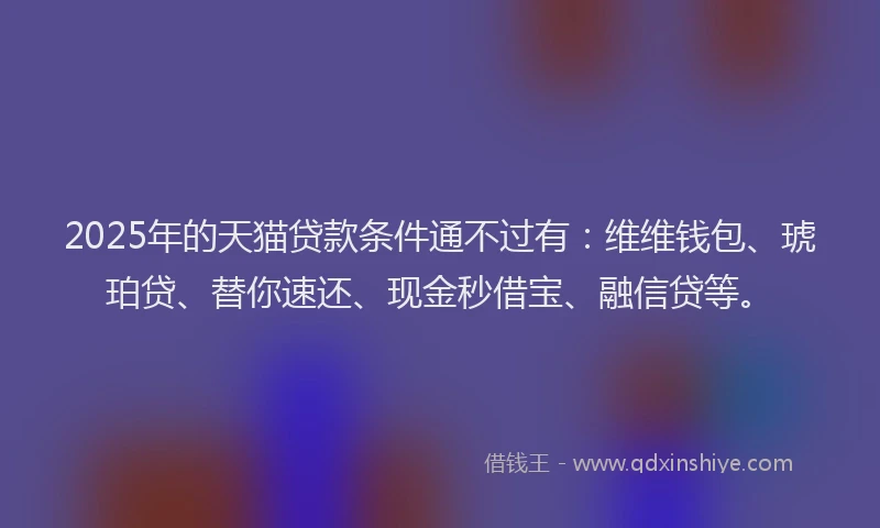 2025年的天猫贷款条件通不过有：维维钱包、琥珀贷、替你速还、现金秒借宝、融信贷等。