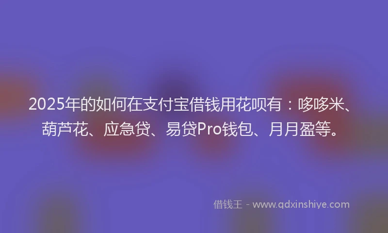 2025年的如何在支付宝借钱用花呗有：哆哆米、葫芦花、应急贷、易贷Pro钱包、月月盈等。