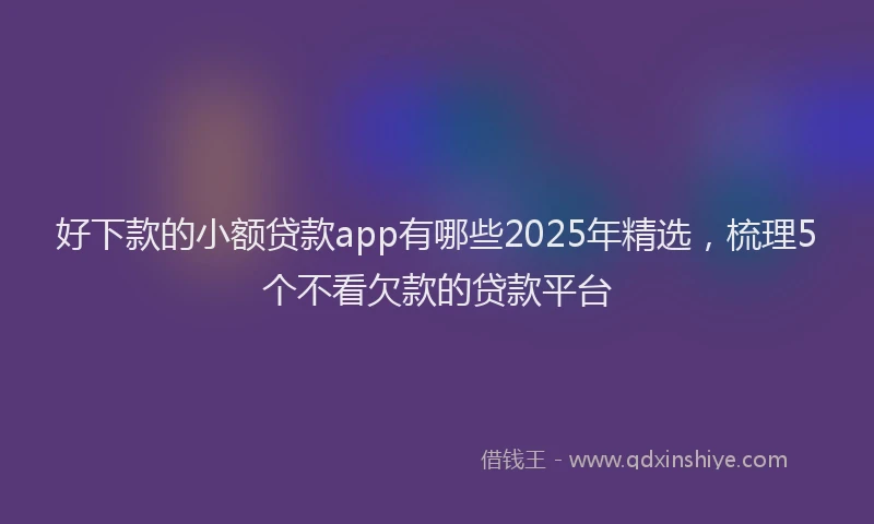 好下款的小额贷款app有哪些2025年精选，梳理5个不看欠款的贷款平台