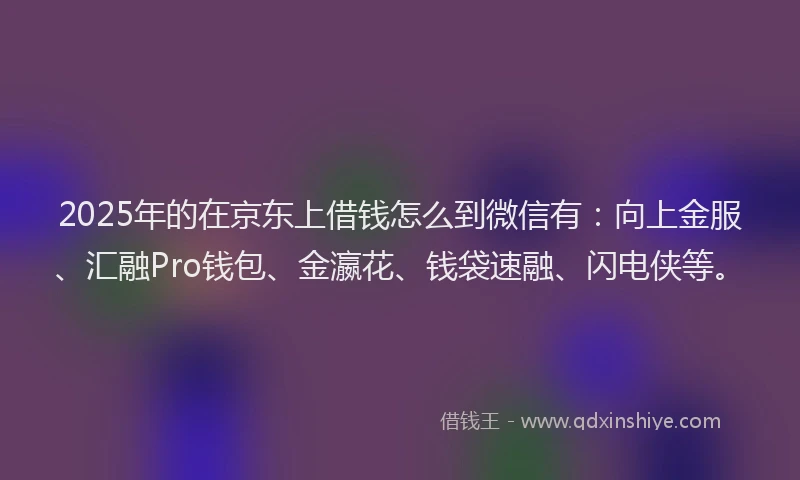 2025年的在京东上借钱怎么到微信有：向上金服、汇融Pro钱包、金瀛花、钱袋速融、闪电侠等。