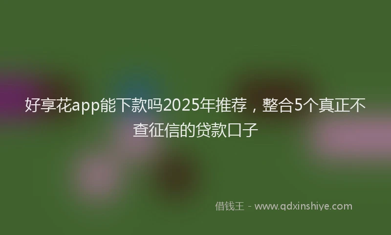 好享花app能下款吗2025年推荐，整合5个真正不查征信的贷款口子