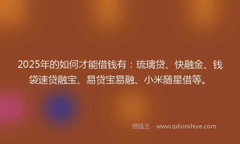 2025年的如何才能借钱有：琉璃贷、快融金、钱袋速贷融宝、易贷宝易融、小米随星借等。