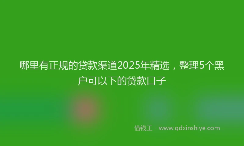 哪里有正规的贷款渠道2025年精选，整理5个黑户可以下的贷款口子