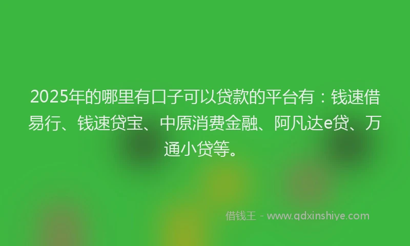 2025年的哪里有口子可以贷款的平台有：钱速借易行、钱速贷宝、中原消费金融、阿凡达e贷、万通小贷等。