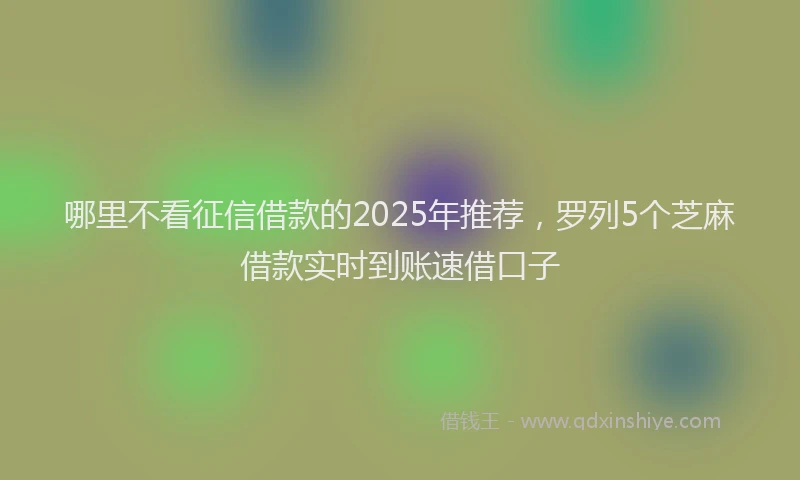 哪里不看征信借款的2025年推荐，罗列5个芝麻借款实时到账速借口子