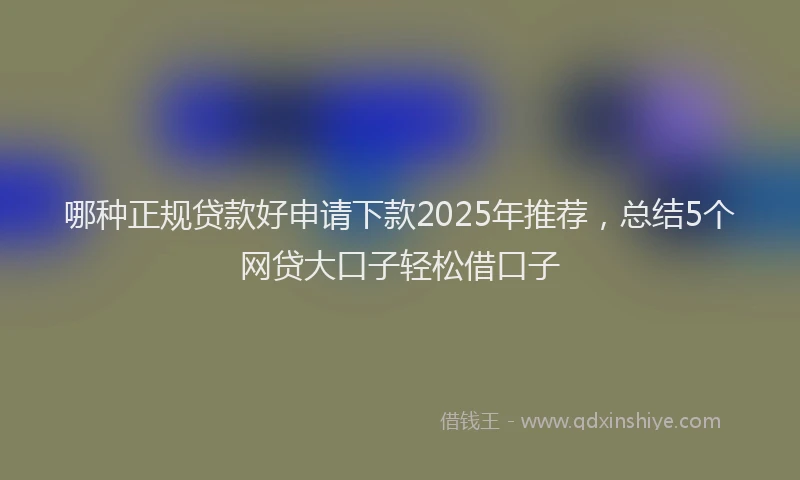 哪种正规贷款好申请下款2025年推荐，总结5个网贷大口子轻松借口子