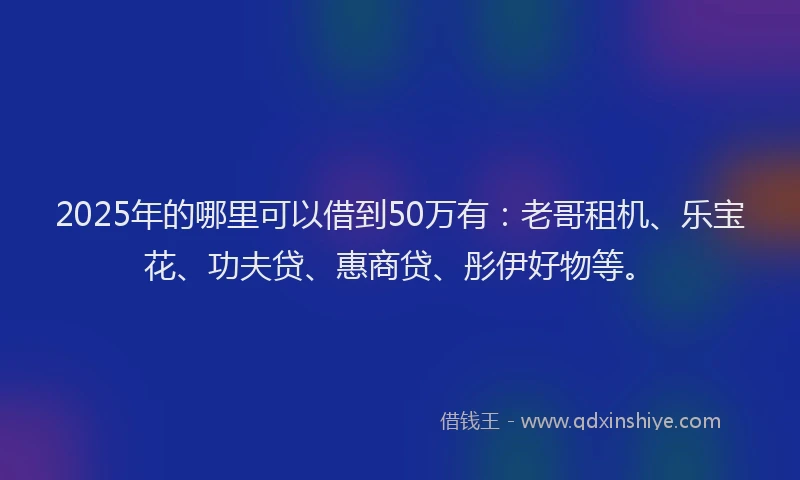2025年的哪里可以借到50万有：老哥租机、乐宝花、功夫贷、惠商贷、彤伊好物等。