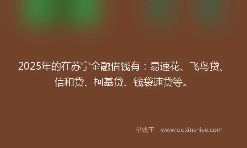 2025年的在苏宁金融借钱有：易速花、飞鸟贷、信和贷、柯基贷、钱袋速贷等。