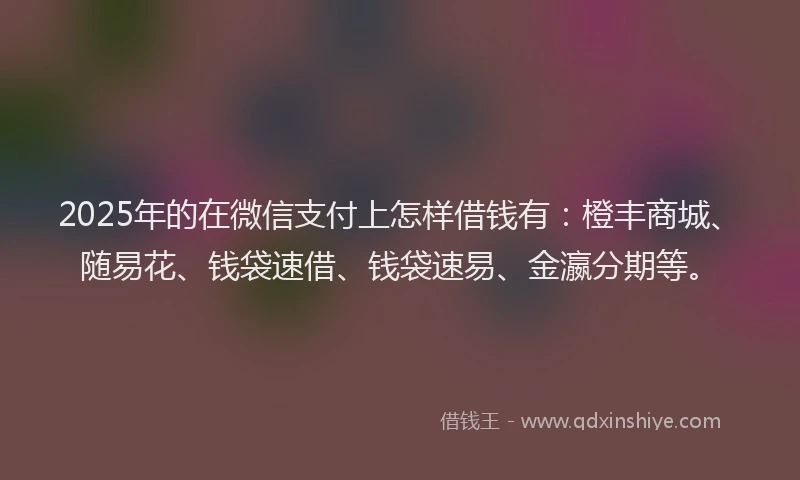 2025年的在微信支付上怎样借钱有：橙丰商城、随易花、钱袋速借、钱袋速易、金瀛分期等。