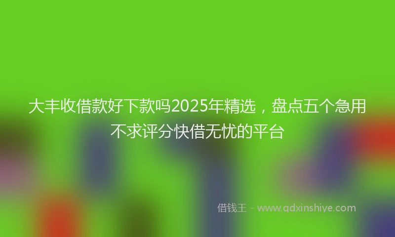 大丰收借款好下款吗2025年精选，盘点五个急用不求评分快借无忧的平台