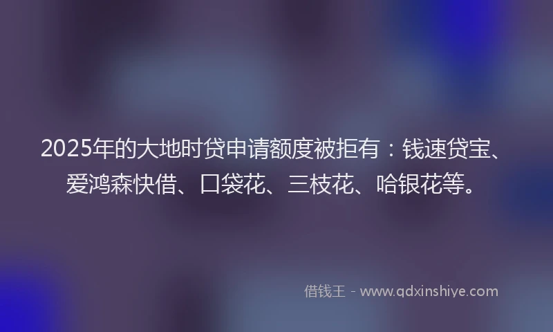 2025年的大地时贷申请额度被拒有：钱速贷宝、爱鸿森快借、口袋花、三枝花、哈银花等。