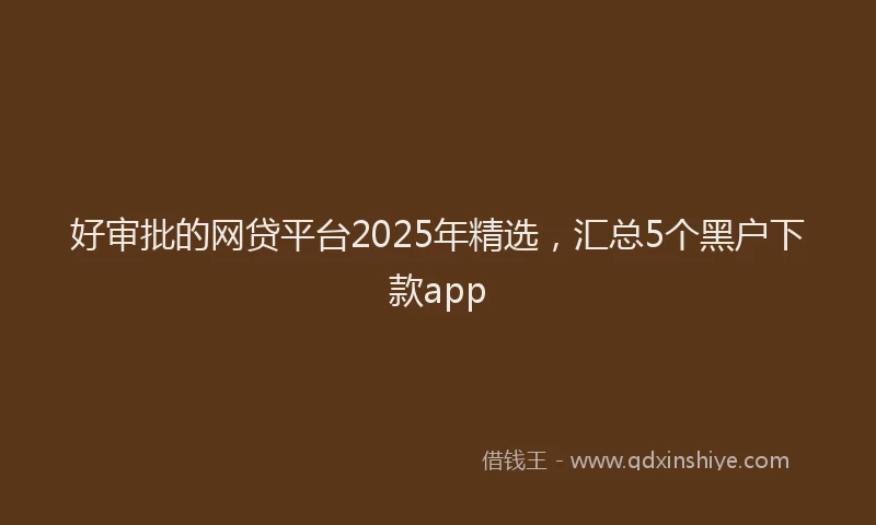 好审批的网贷平台2025年精选，汇总5个黑户下款app