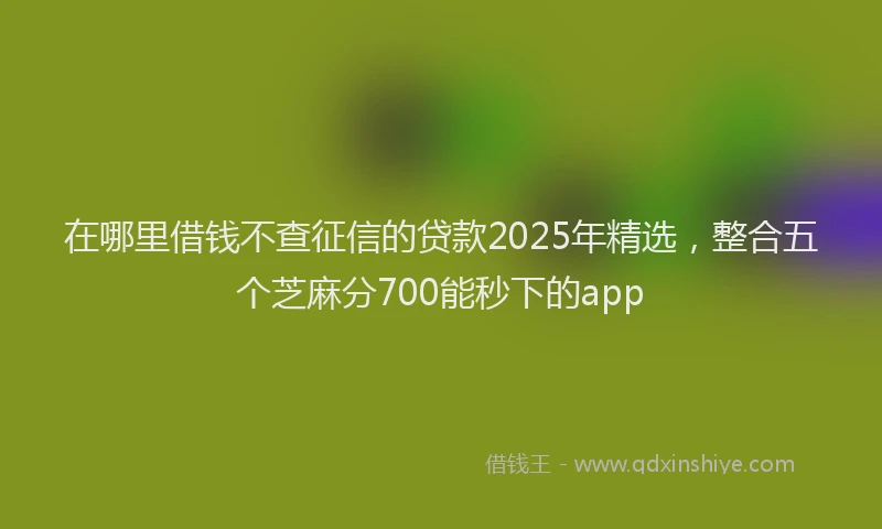 在哪里借钱不查征信的贷款2025年精选，整合五个芝麻分700能秒下的app