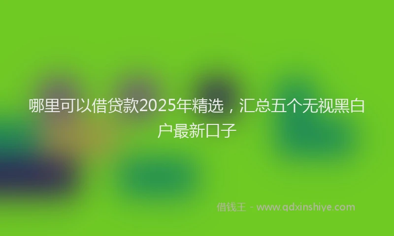 哪里可以借贷款2025年精选，汇总五个无视黑白户最新口子