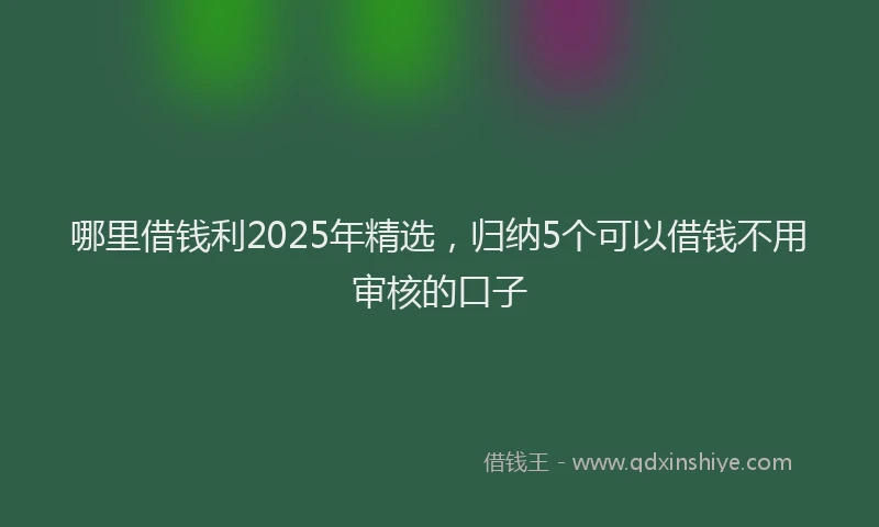 哪里借钱利2025年精选，归纳5个可以借钱不用审核的口子