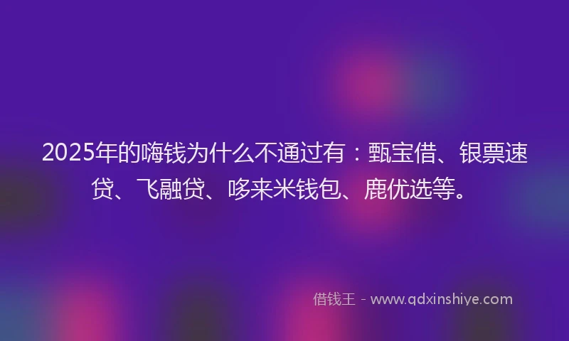 2025年的嗨钱为什么不通过有：甄宝借、银票速贷、飞融贷、哆来米钱包、鹿优选等。