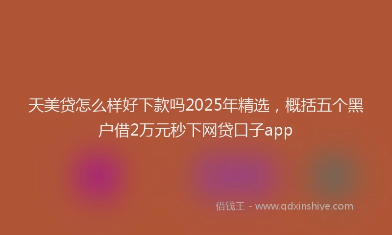 天美贷怎么样好下款吗2025年精选，概括五个黑户借2万元秒下网贷口子app