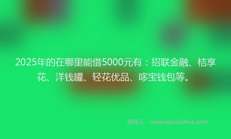 2025年的在哪里能借5000元有：招联金融、桔享花、洋钱罐、轻花优品、哆宝钱包等。