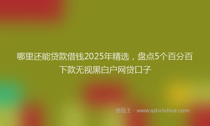 哪里还能贷款借钱2025年精选，盘点5个百分百下款无视黑白户网贷口子