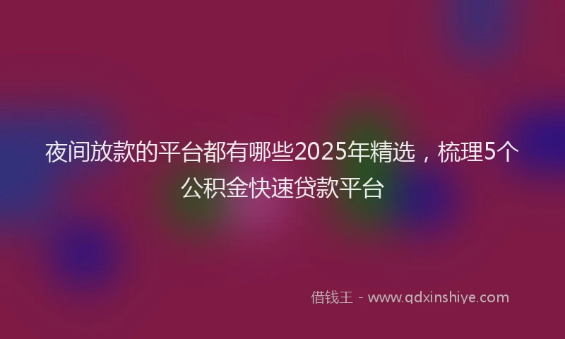 夜间放款的平台都有哪些2025年精选，梳理5个公积金快速贷款平台