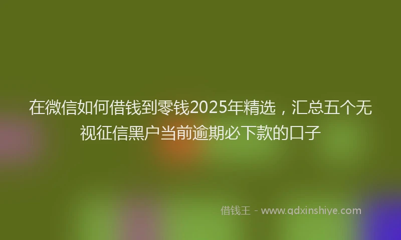 在微信如何借钱到零钱2025年精选，汇总五个无视征信黑户当前逾期必下款的口子