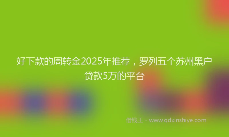 好下款的周转金2025年推荐，罗列五个苏州黑户贷款5万的平台