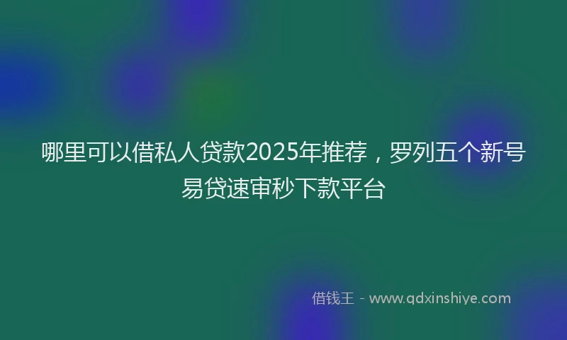 哪里可以借私人贷款2025年推荐，罗列五个新号易贷速审秒下款平台