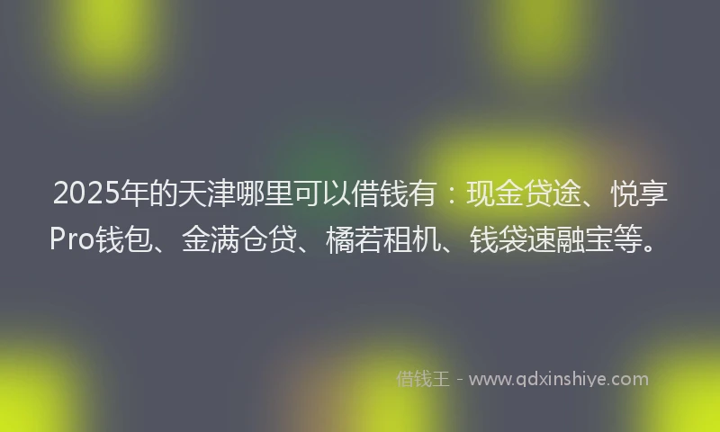2025年的天津哪里可以借钱有：现金贷途、悦享Pro钱包、金满仓贷、橘若租机、钱袋速融宝等。