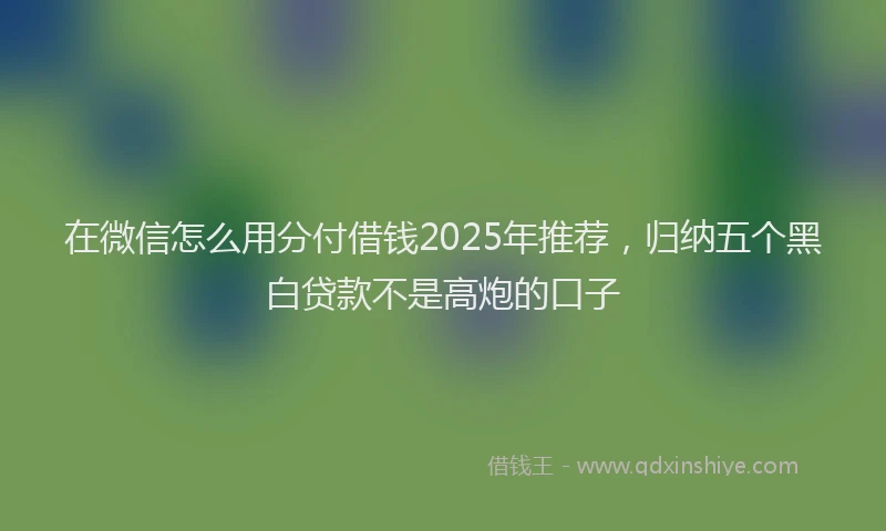在微信怎么用分付借钱2025年推荐，归纳五个黑白贷款不是高炮的口子