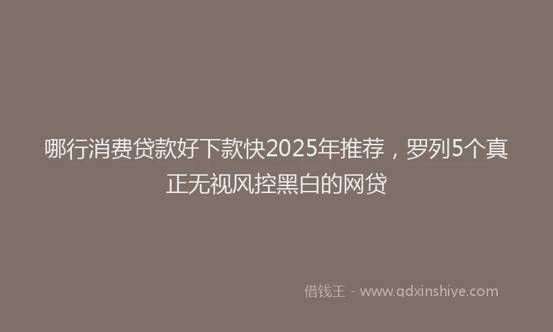 哪行消费贷款好下款快2025年推荐，罗列5个真正无视风控黑白的网贷
