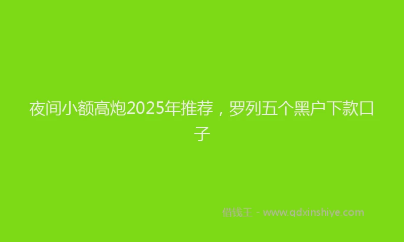夜间小额高炮2025年推荐，罗列五个黑户下款口子