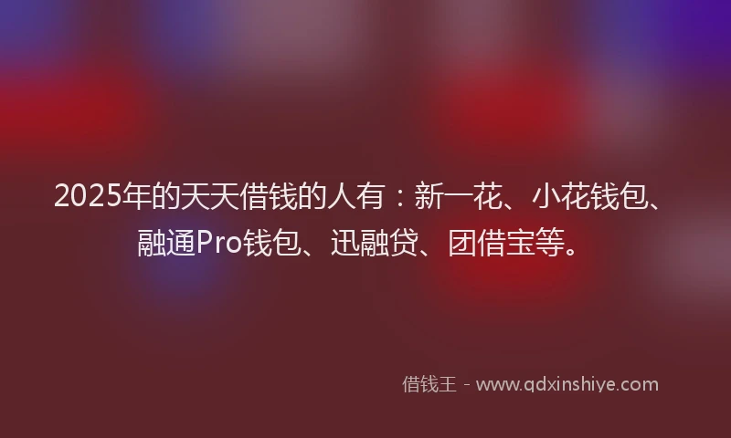 2025年的天天借钱的人有：新一花、小花钱包、融通Pro钱包、迅融贷、团借宝等。