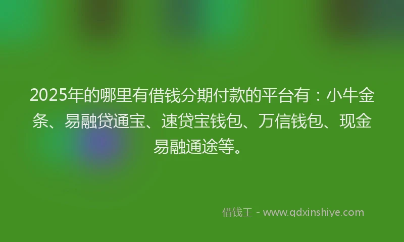 2025年的哪里有借钱分期付款的平台有：小牛金条、易融贷通宝、速贷宝钱包、万信钱包、现金易融通途等。