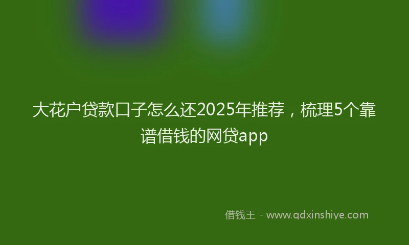 大花户贷款口子怎么还2025年推荐，梳理5个靠谱借钱的网贷app