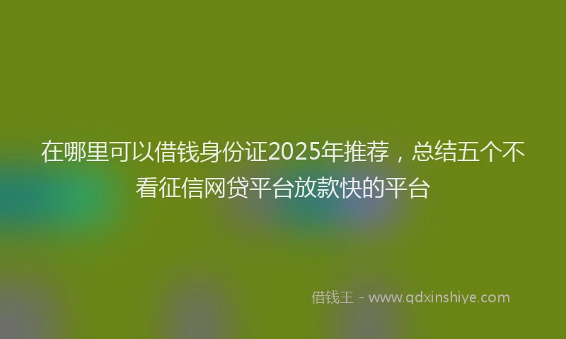 在哪里可以借钱身份证2025年推荐，总结五个不看征信网贷平台放款快的平台