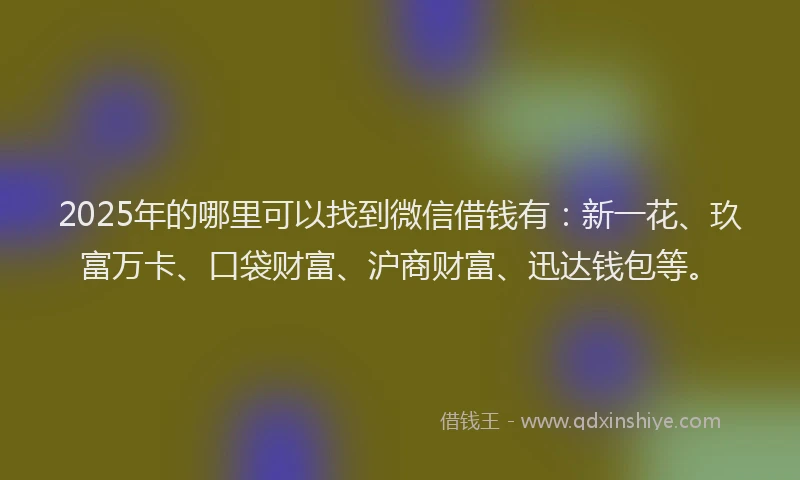2025年的哪里可以找到微信借钱有：新一花、玖富万卡、口袋财富、沪商财富、迅达钱包等。