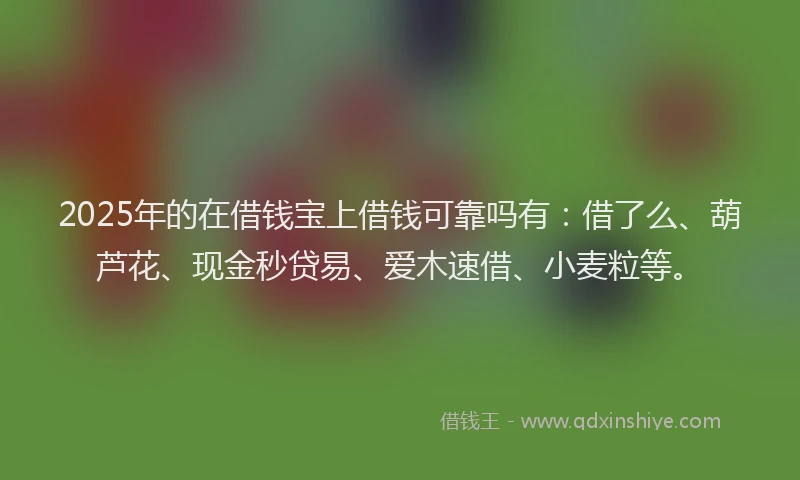 2025年的在借钱宝上借钱可靠吗有：借了么、葫芦花、现金秒贷易、爱木速借、小麦粒等。