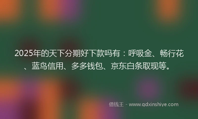 2025年的天下分期好下款吗有：呼吸金、畅行花、蓝鸟信用、多多钱包、京东白条取现等。
