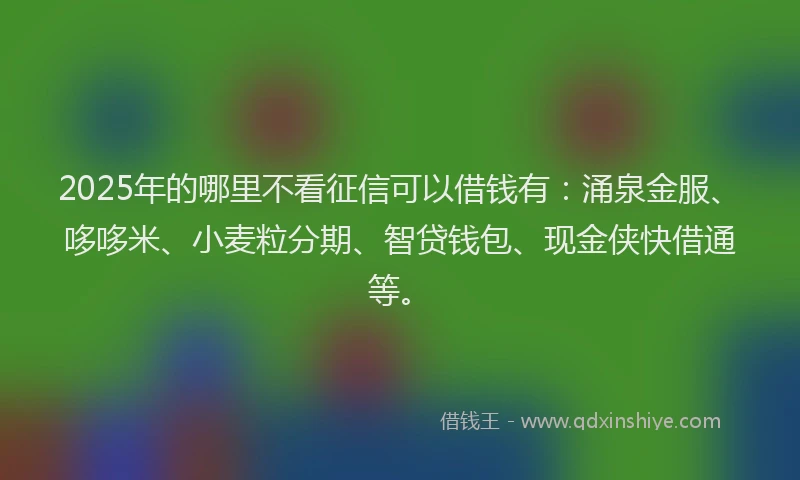 2025年的哪里不看征信可以借钱有：涌泉金服、哆哆米、小麦粒分期、智贷钱包、现金侠快借通等。