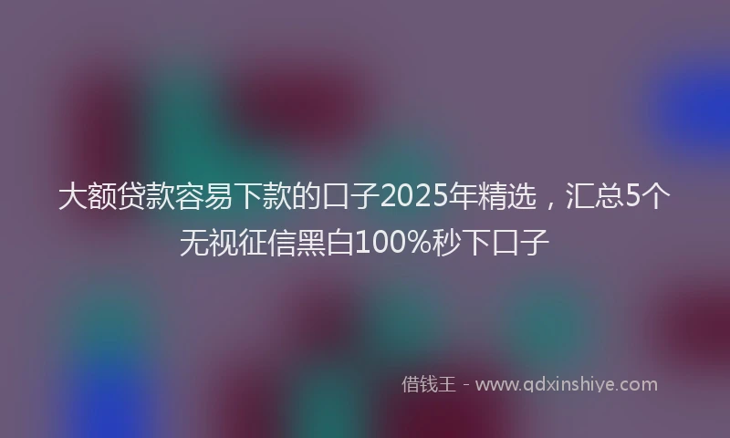 大额贷款容易下款的口子2025年精选，汇总5个无视征信黑白100%秒下口子