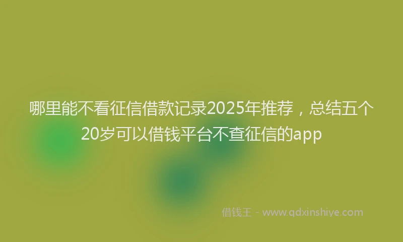 哪里能不看征信借款记录2025年推荐，总结五个20岁可以借钱平台不查征信的app