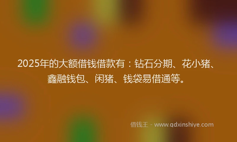 2025年的大额借钱借款有：钻石分期、花小猪、鑫融钱包、闲猪、钱袋易借通等。