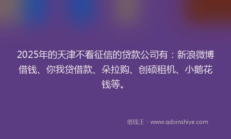 2025年的天津不看征信的贷款公司有：新浪微博借钱、你我贷借款、朵拉购、创硕租机、小鹅花钱等。