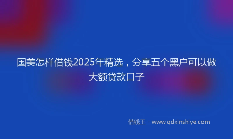国美怎样借钱2025年精选，分享五个黑户可以做大额贷款口子