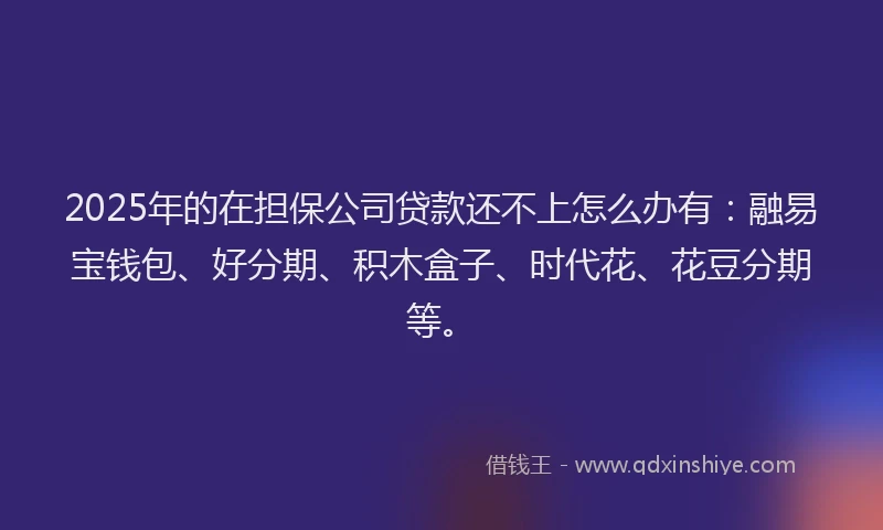 2025年的在担保公司贷款还不上怎么办有：融易宝钱包、好分期、积木盒子、时代花、花豆分期等。